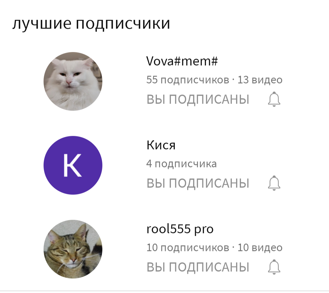 Строчка лучших подписчиков