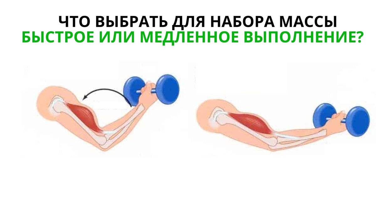 Какую работу выполняет мышца при эксцентрическом режиме
