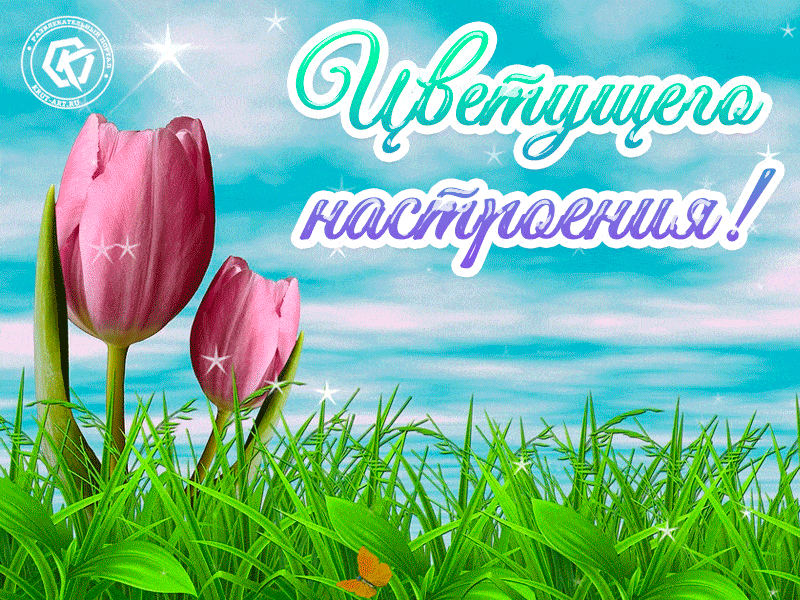 Красивая гиф Цветущего настроения с тюльпанами и бабочками. Анимация на каждый день с пожеланиями хорошего настроения