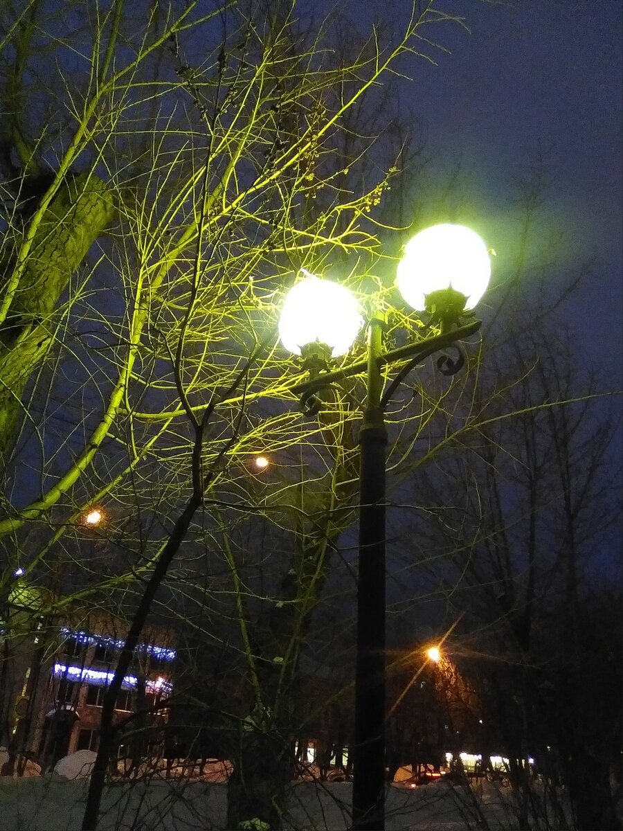 фото автора 