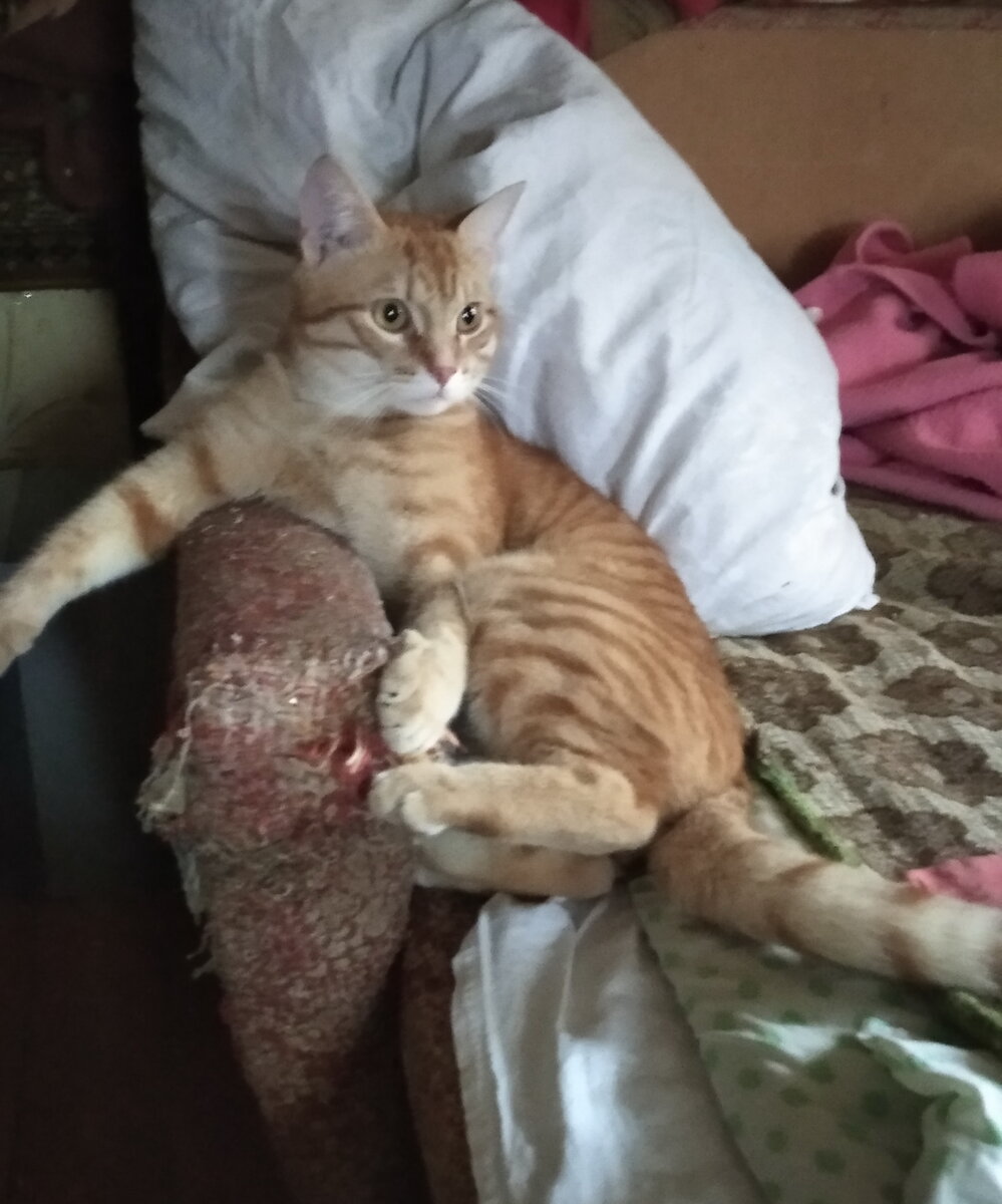 личное   фото