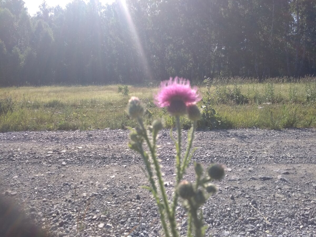 Фотография автора.