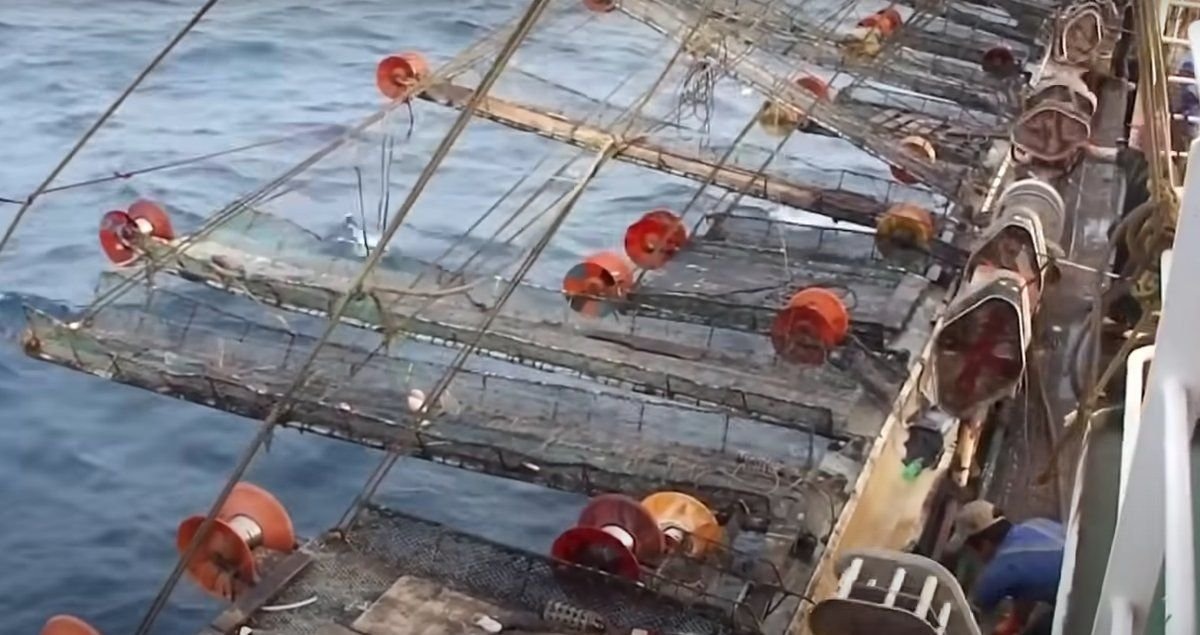 Снасть наматывается на эти барабаны, а кальмар остается в канавке