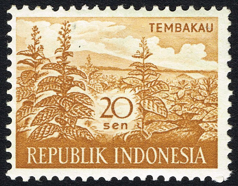 Post of Indonesia. Public domain. 1960 год. Табаки района Тембакау, Суматра
