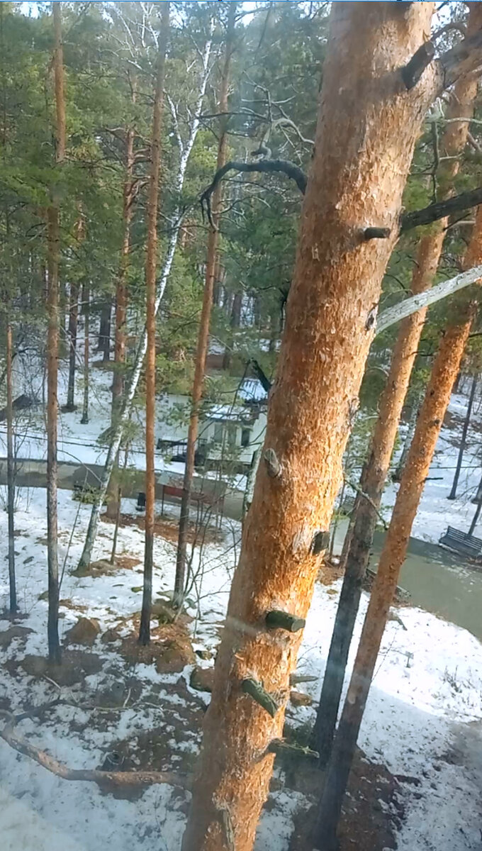 Вид из панорамного лифта.  