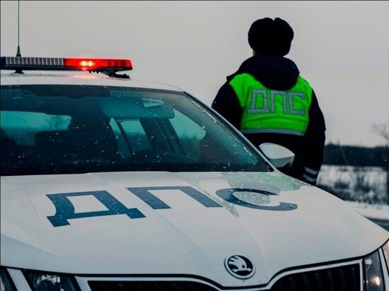     Фото: ГИБДД ЯНАО