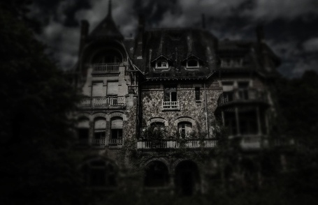 фото из общего доступа