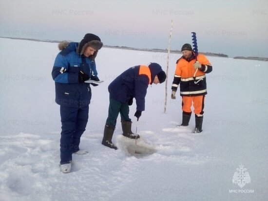     Фото пресс-служба МЧС по Архангельской области