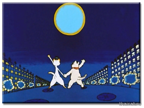 Кот который умел петь 1988. - Союзмультфильм, 1988 «кот, который умел петь. Мультсериалы 1988.