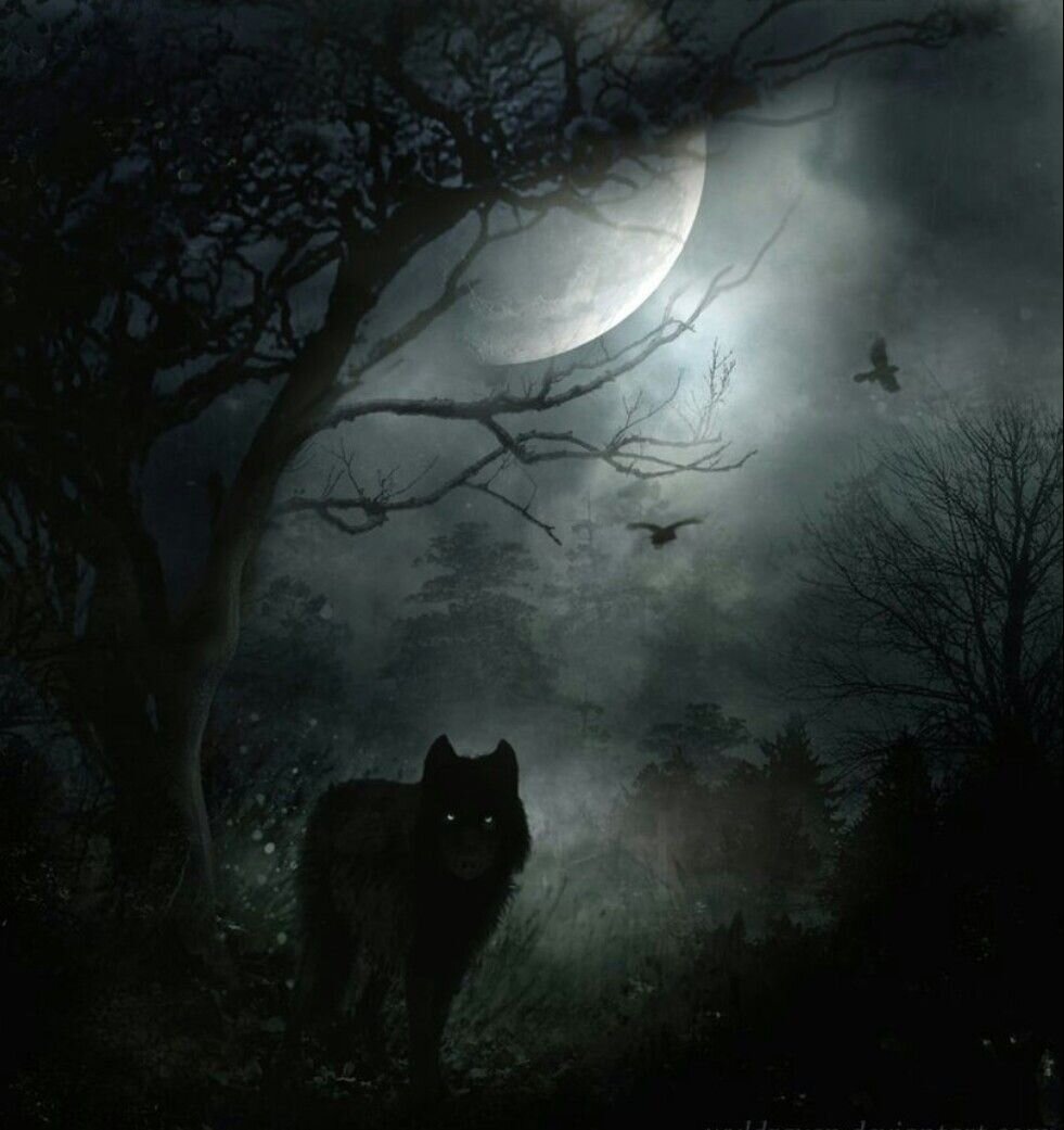 Ночь волков читать. Волк в ночи. Волк в лесу ночью. Мистические волки. Тёмный лес и страшный волк.