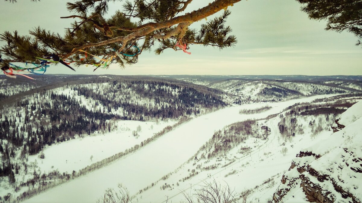 Самелвоу Кузбасс