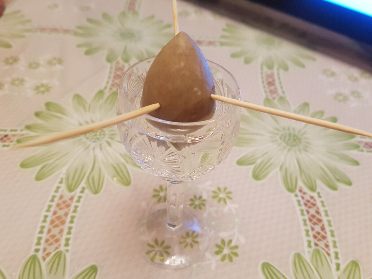 21 февраля 2019 