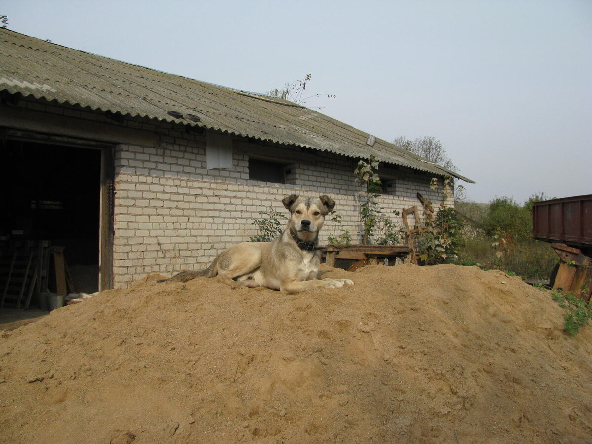 Последнее фото Гая