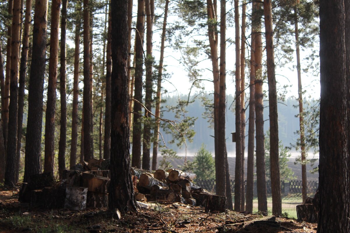 Всё в дымке.