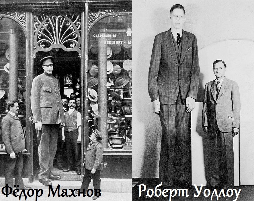 Из открытого доступа.