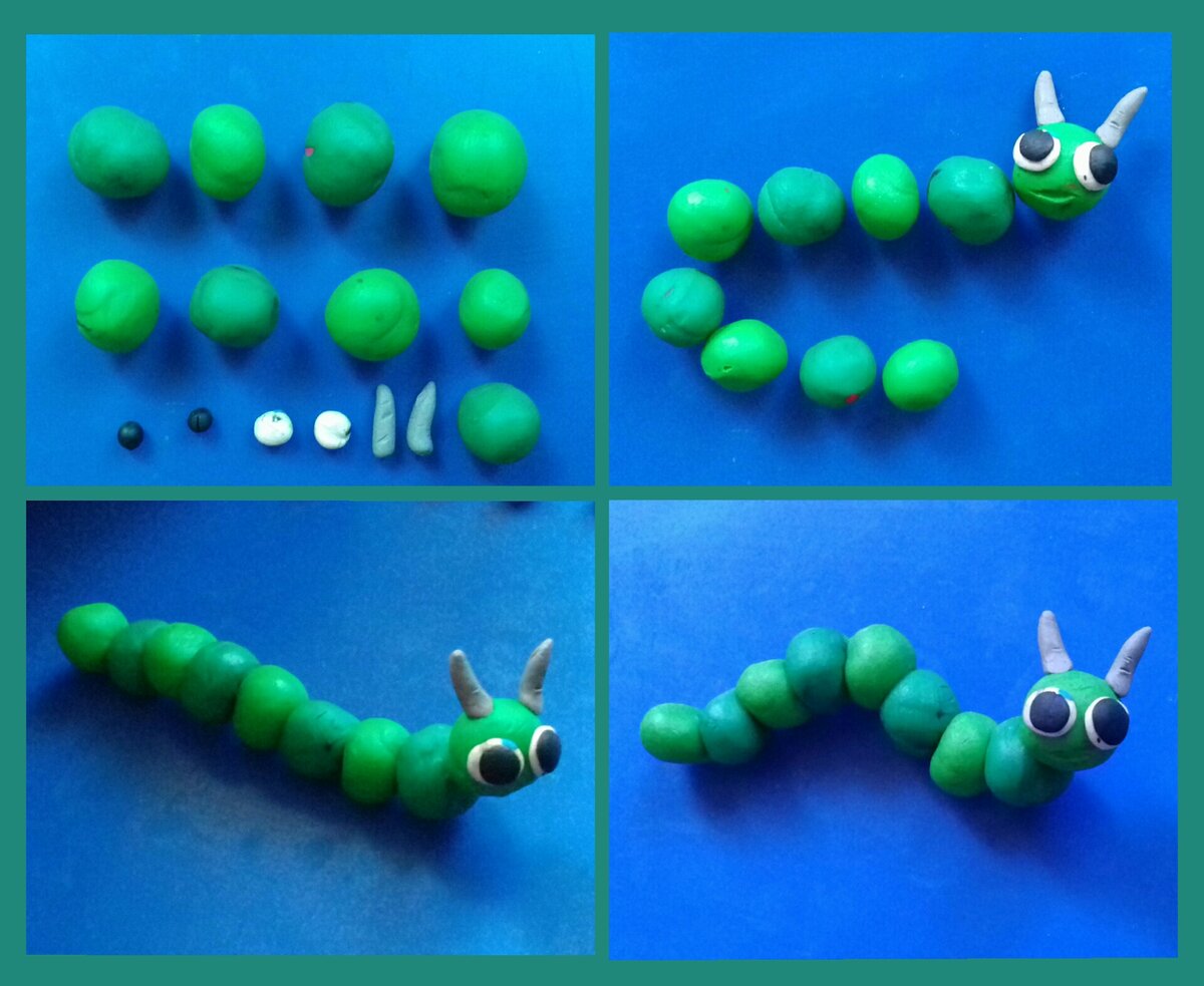 Фото автора. Гусеница