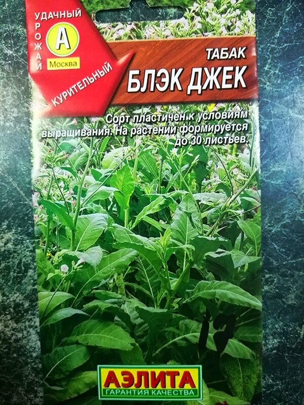Семена Табак курительный Гавана Gl Seeds 0.1 г