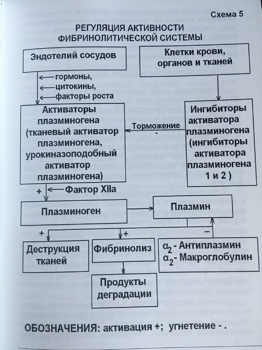 Эта схема, к слову, из моих методичек студенческого времени, которые периодически перечитываются  мной "по диагонали". Они удобны для изучения и с лихвой заменяют тонны текста, но при условии, что студент не заучивает, а хорошо понимает что в них происходит вообще