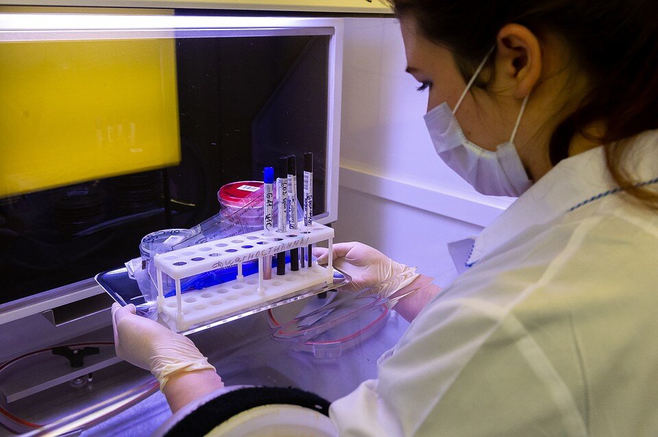  В Петербурге выросло число проводимых тестов.Фото: Олег ЗОЛОТО