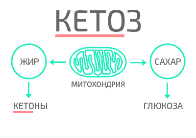 Схема кетоза