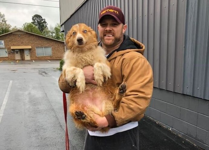 Источник: yandex.ru