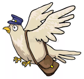 "Почтовый" голубь