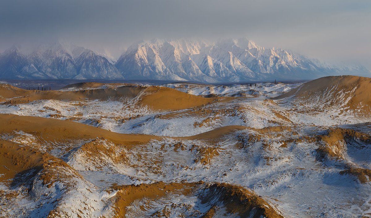 Чарские Пески Оазис