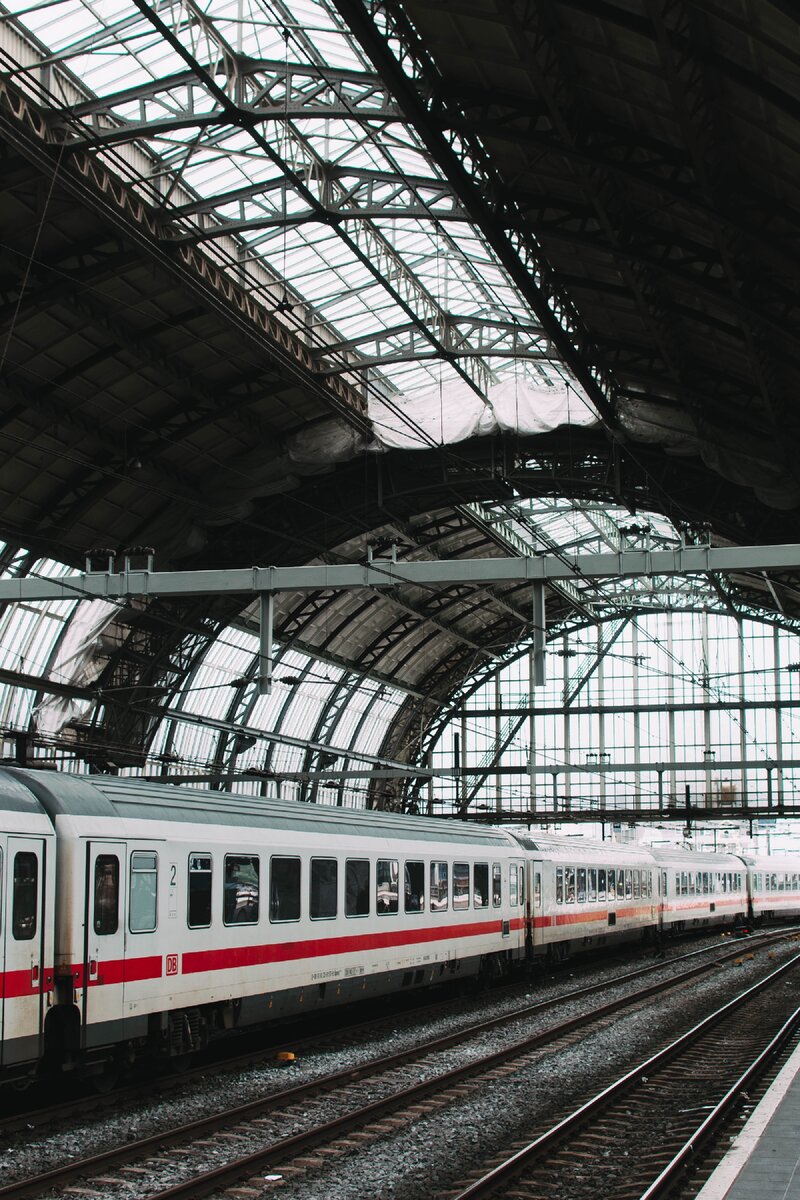 Фото взято с фотостока