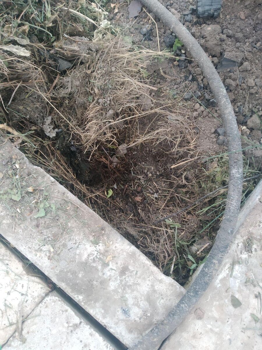 Прошлогодняя трава в траншее