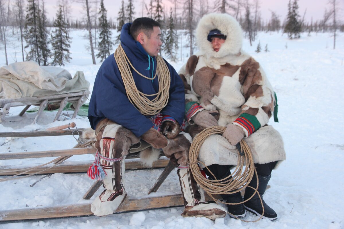 Северная экспедиция на Ямал команды ArcticTrophy | Александр Люкшин | Дзен