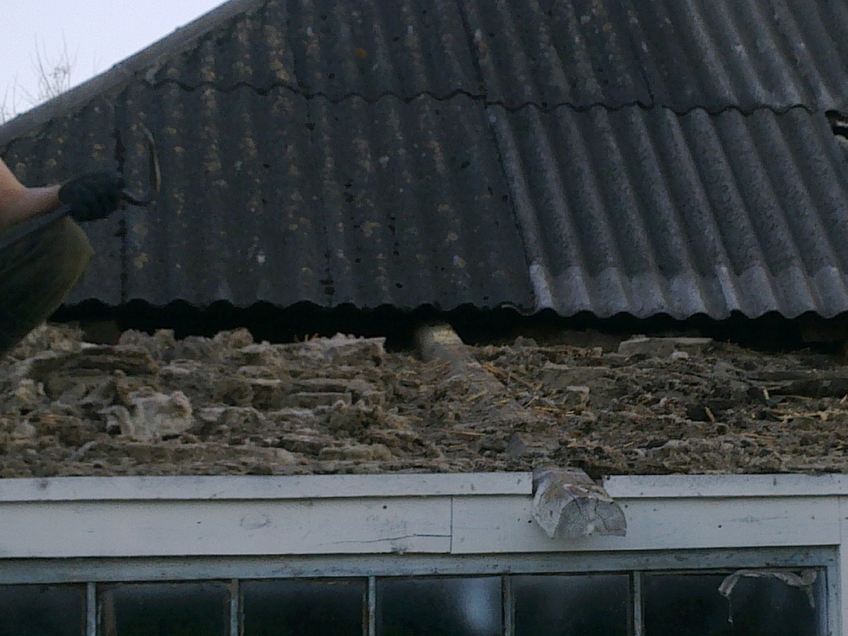 Начинается треш и антисанитария))) остатки воробьиных гнезд,крысиные и мышиные следы...фууууууууу