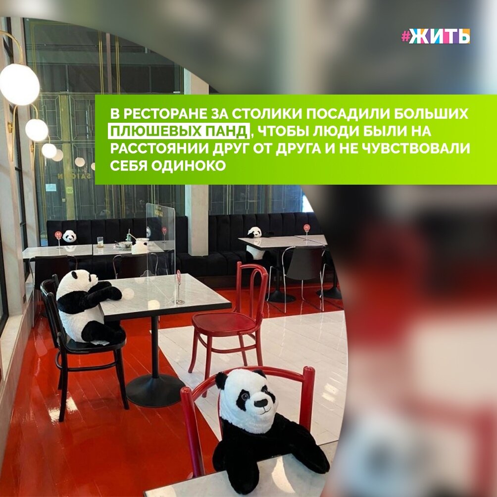 Ресторан вьетнамской кухни придумал оригинальный способ рассадки своих посетителей. Чтобы держать гостей на необходимом расстоянии друг от друга, владелец заведения посадил за каждый столик плюшевых панд. Так приходящим гостям становится сразу видно, какие места нужно занимать, чтобы соблюсти дистанцию🐼 
Плюшевые посетители за столиками с утра до вечера. Они помогают другим гостям соблюдать безопасное расстояние. Тем, кто растерялся или забыл, панды подсказывают, что садиться лучше по диагонали. А тем, кто пришел один, составляют приятную компанию☺

#жить #проектжить  #мирмыстобой #всебудетхорошо #житьнакарантине
