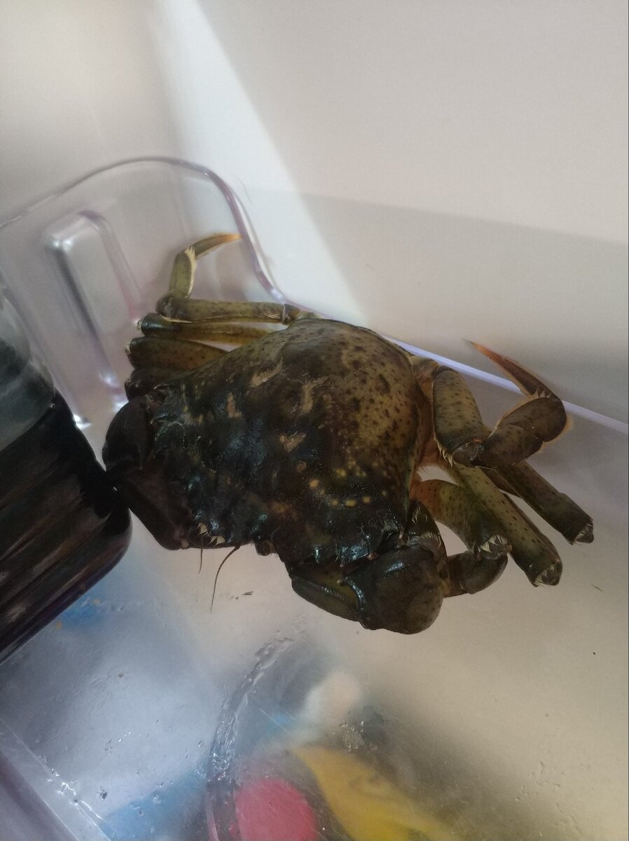 Самоизоляция.