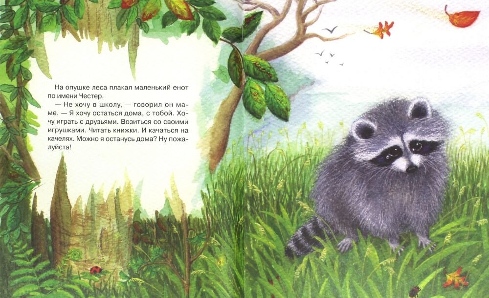 Разворот книги