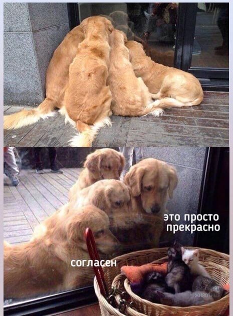 Картинка из источника с открытым доступом