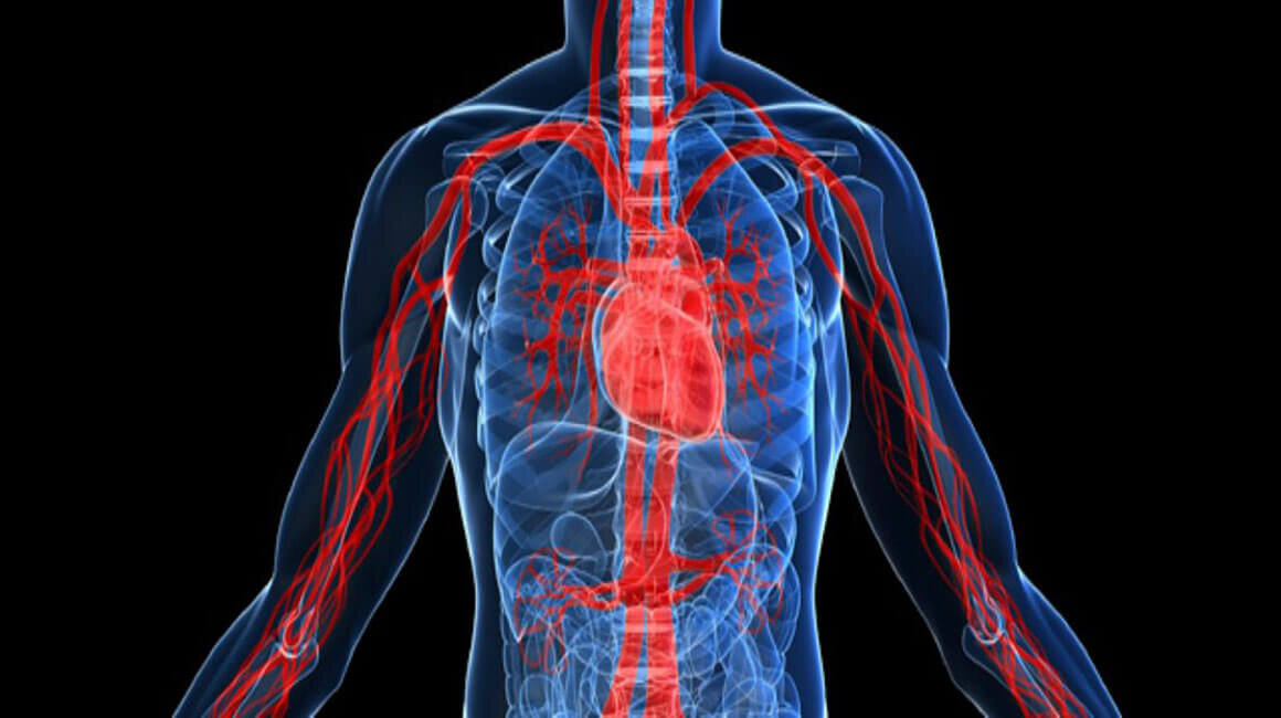 Взято из яндекс картинок. Статья из внешнего источника. 