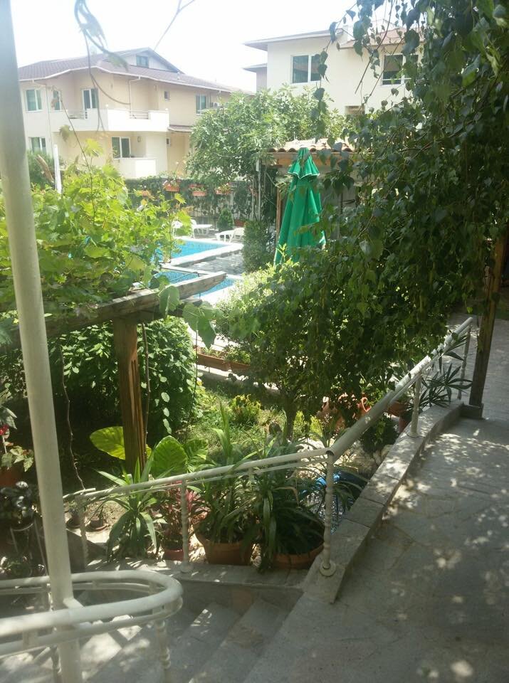 vila dinevi