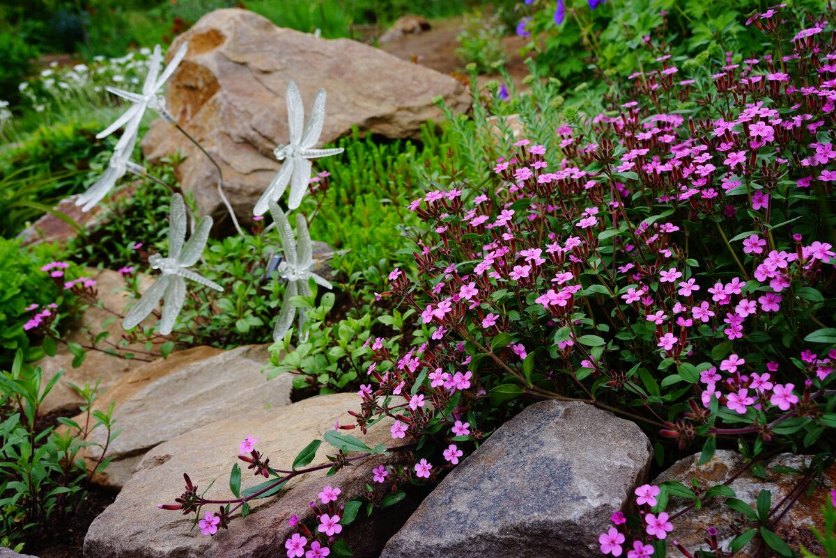 Тоже насекомые