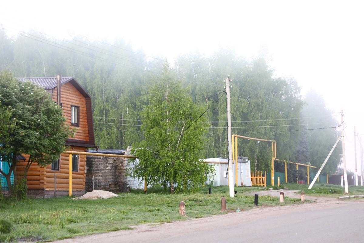 Фото: Маргарита Гафурова