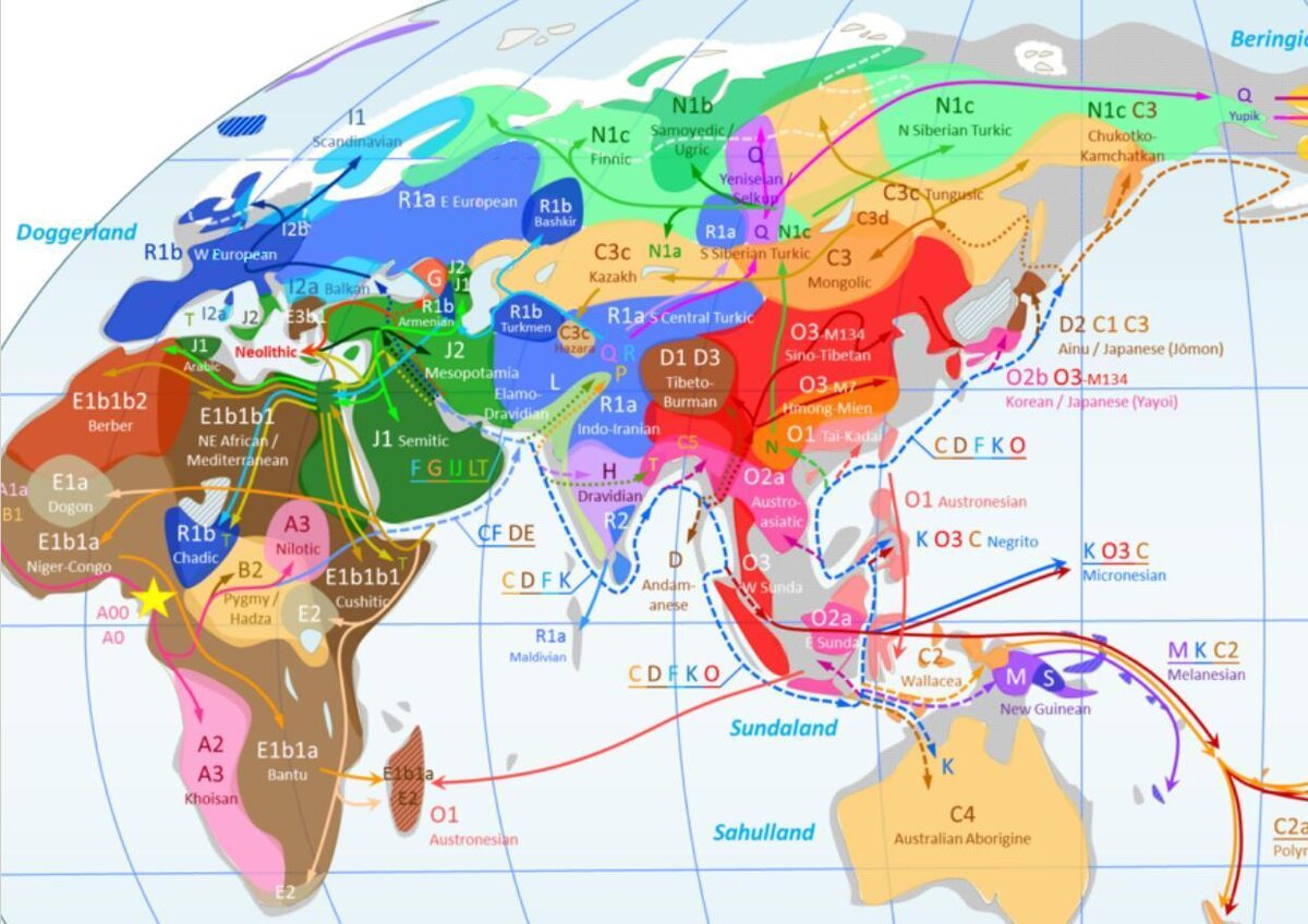 Карта днк генеалогии