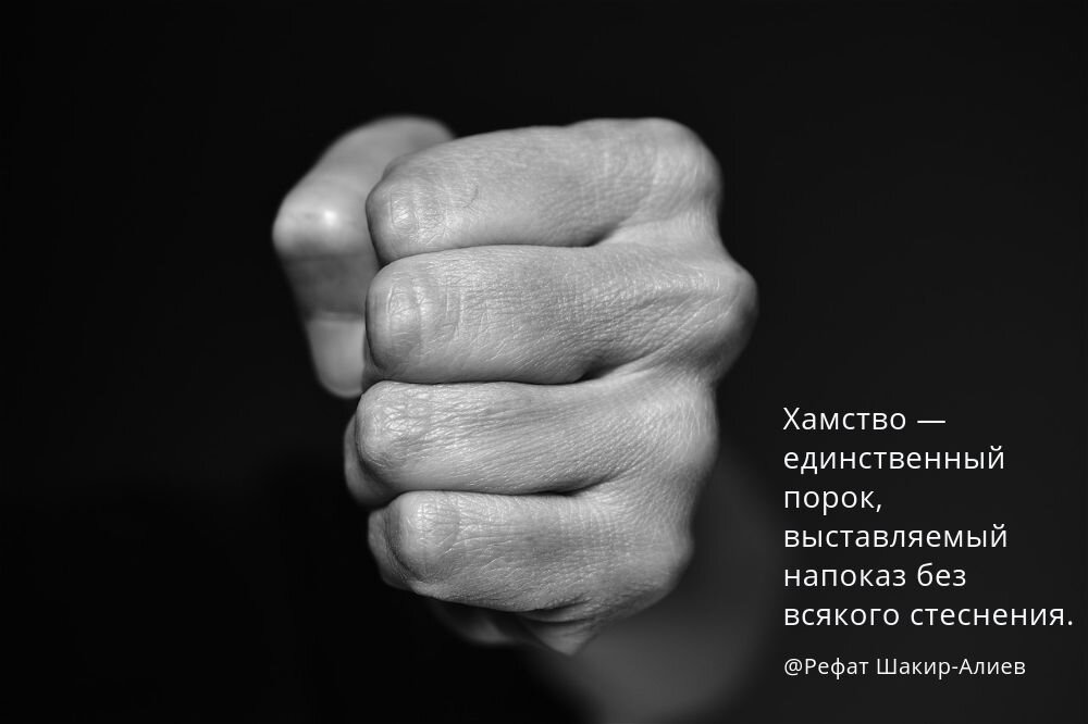 "Хамство – единственный порок, выставляемый напоказ без всякого стеснения". Рефат Шакир-Алиев. Фото из pixabay.com/ru