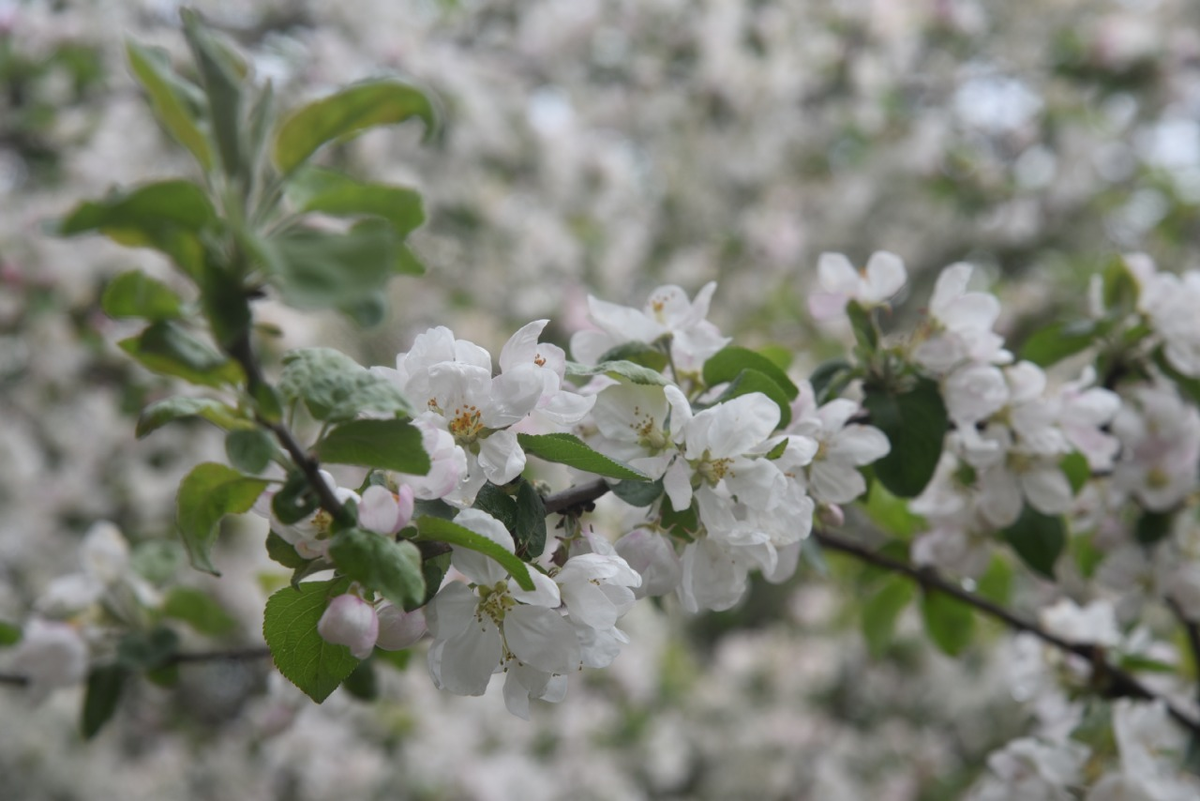 Вид из окна, личный архив