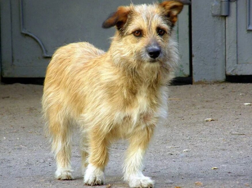 фото взято из интернета