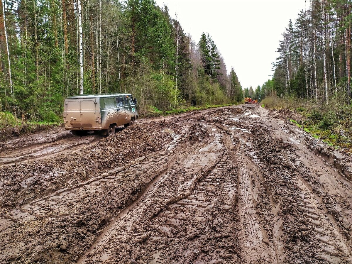Ошта вытегра сегодня. Дорога Вытегра Ошта. Дорога на Вытегру. Дорога Подпорожье Вытегра. Вытегра Лодейное поле состояние дороги.
