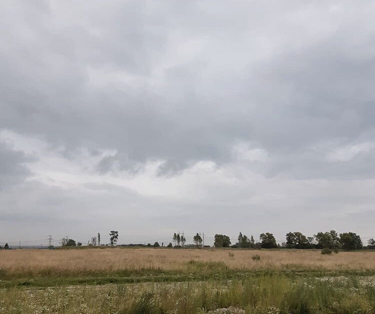 Вид на поле с ул. Переведенской