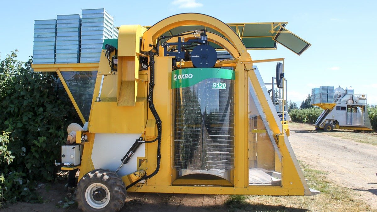 Фото: oxbocorp.com Комбайн для уборки малины Oxbo 9120