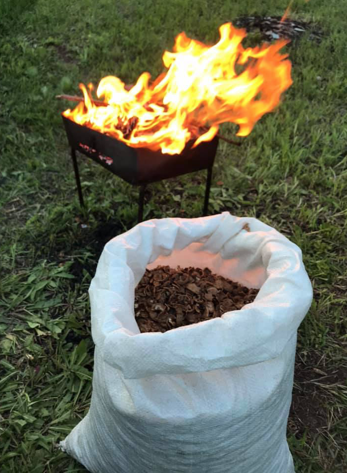 Можно ли топить печь дровами грецкого ореха