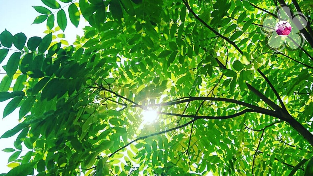 Не забудьте про лайк и подписку, если считаете наши статьи полезными ツ