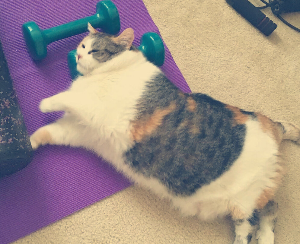 После зимы хочется привести себя в порядок