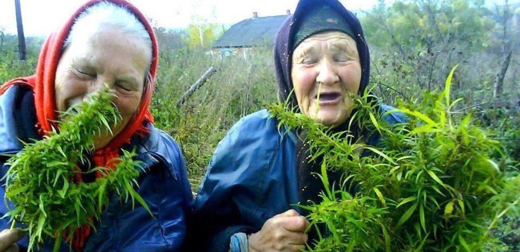 Источник Яндекс картинки 